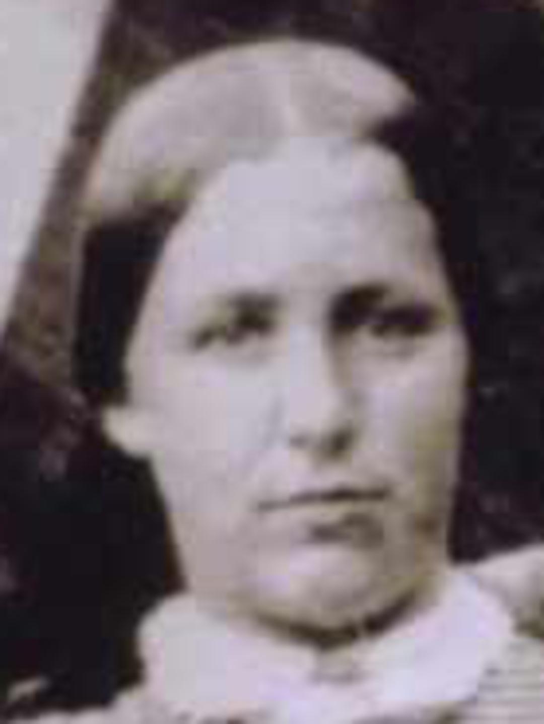 Louisa Mayer (1843 - 1935) Profile